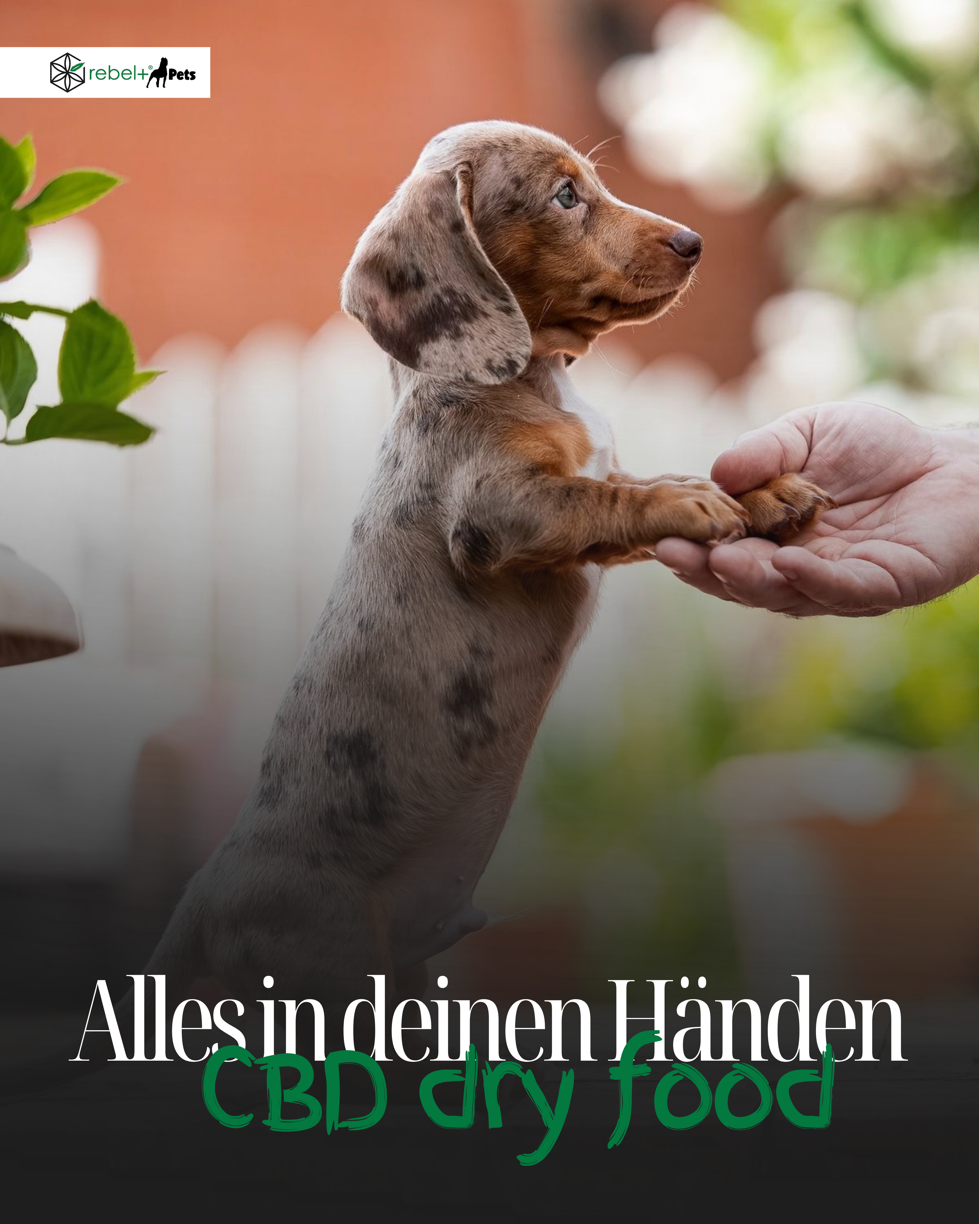 Balance Puppy (Welpen) - Premium Hundetrockenfutter mit CBD | 3kg.