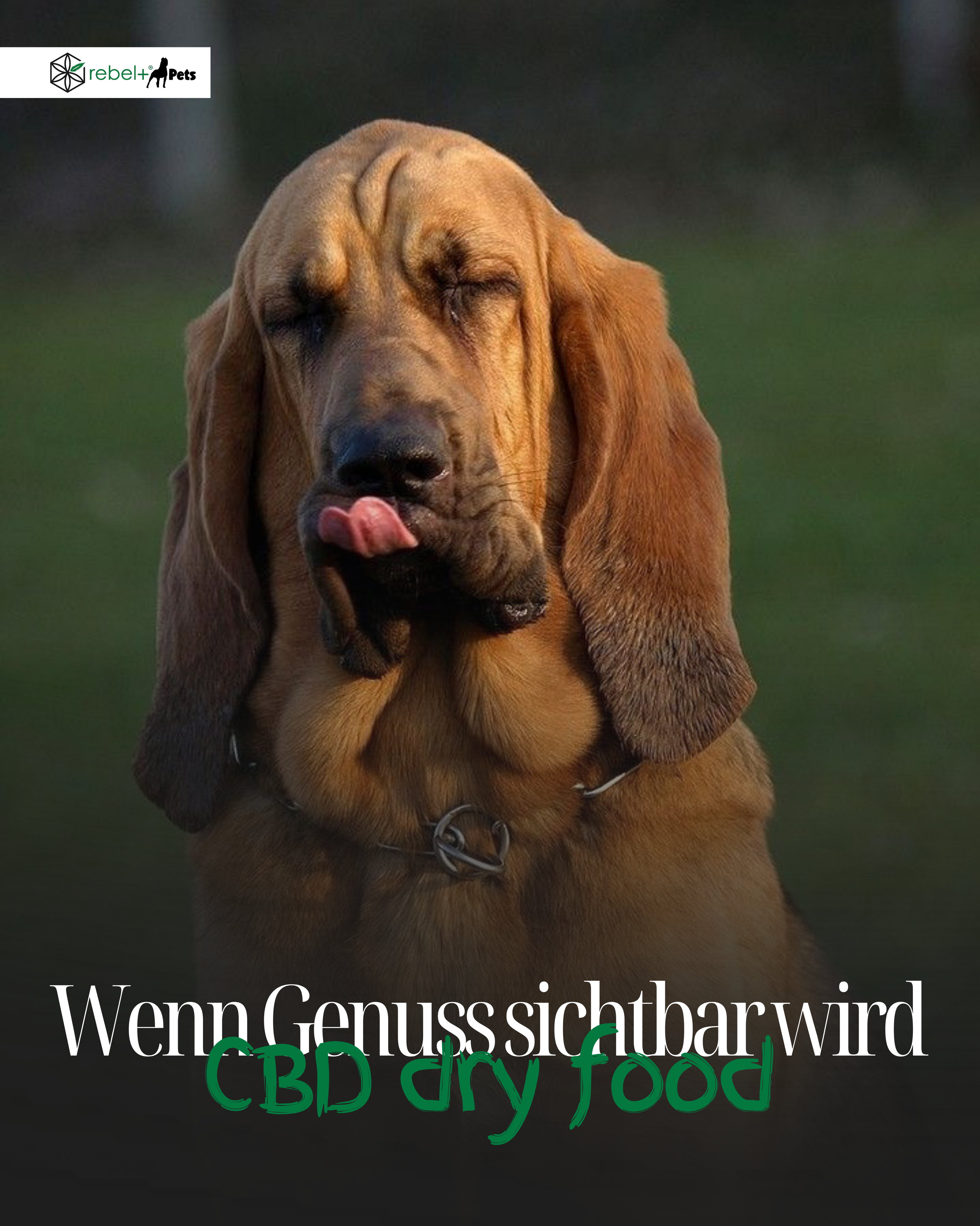 Energy Maxi - Hundetrockenfutter mit CBD | 10kg.