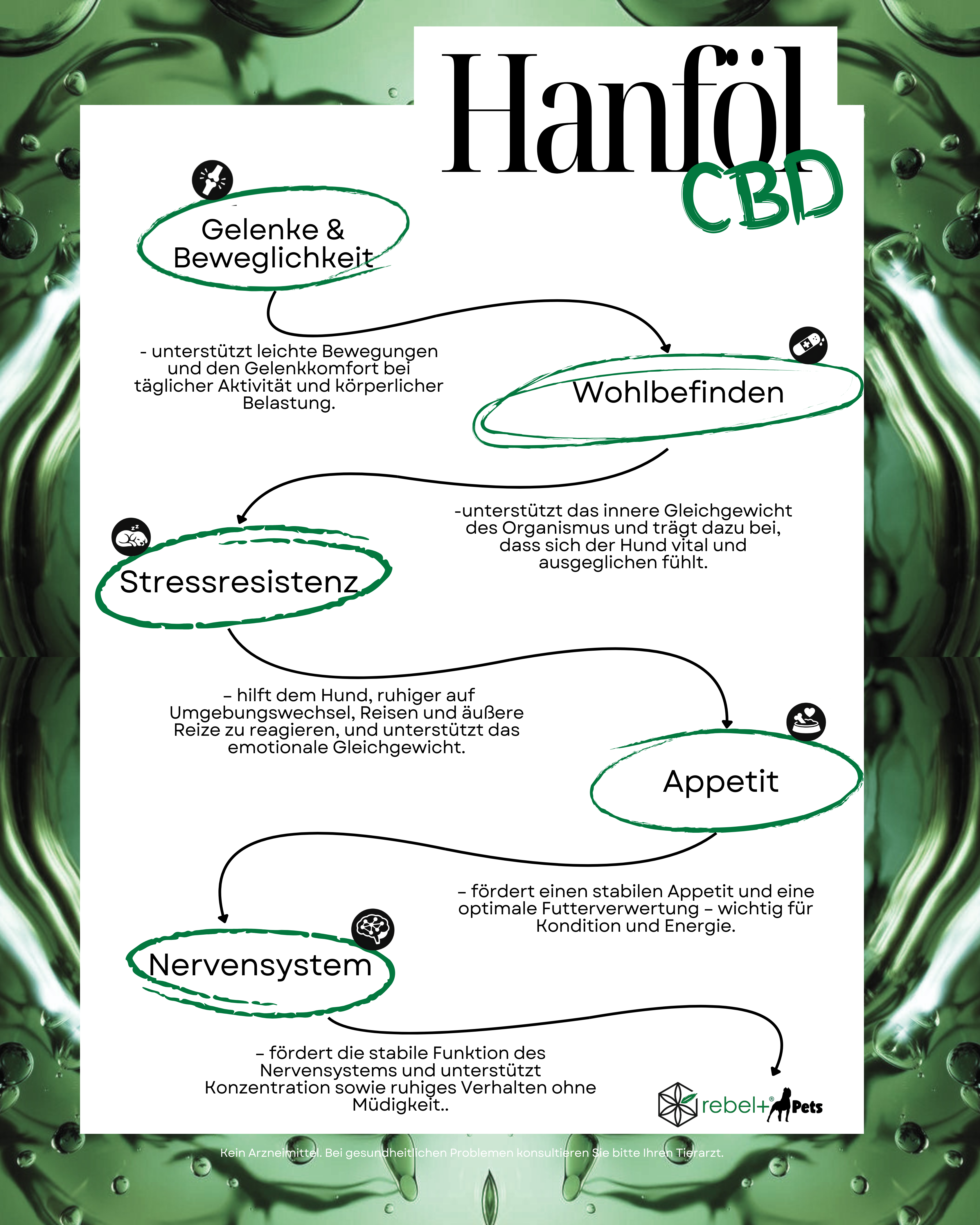 Energy Maxi - Hundetrockenfutter mit CBD | 10kg.