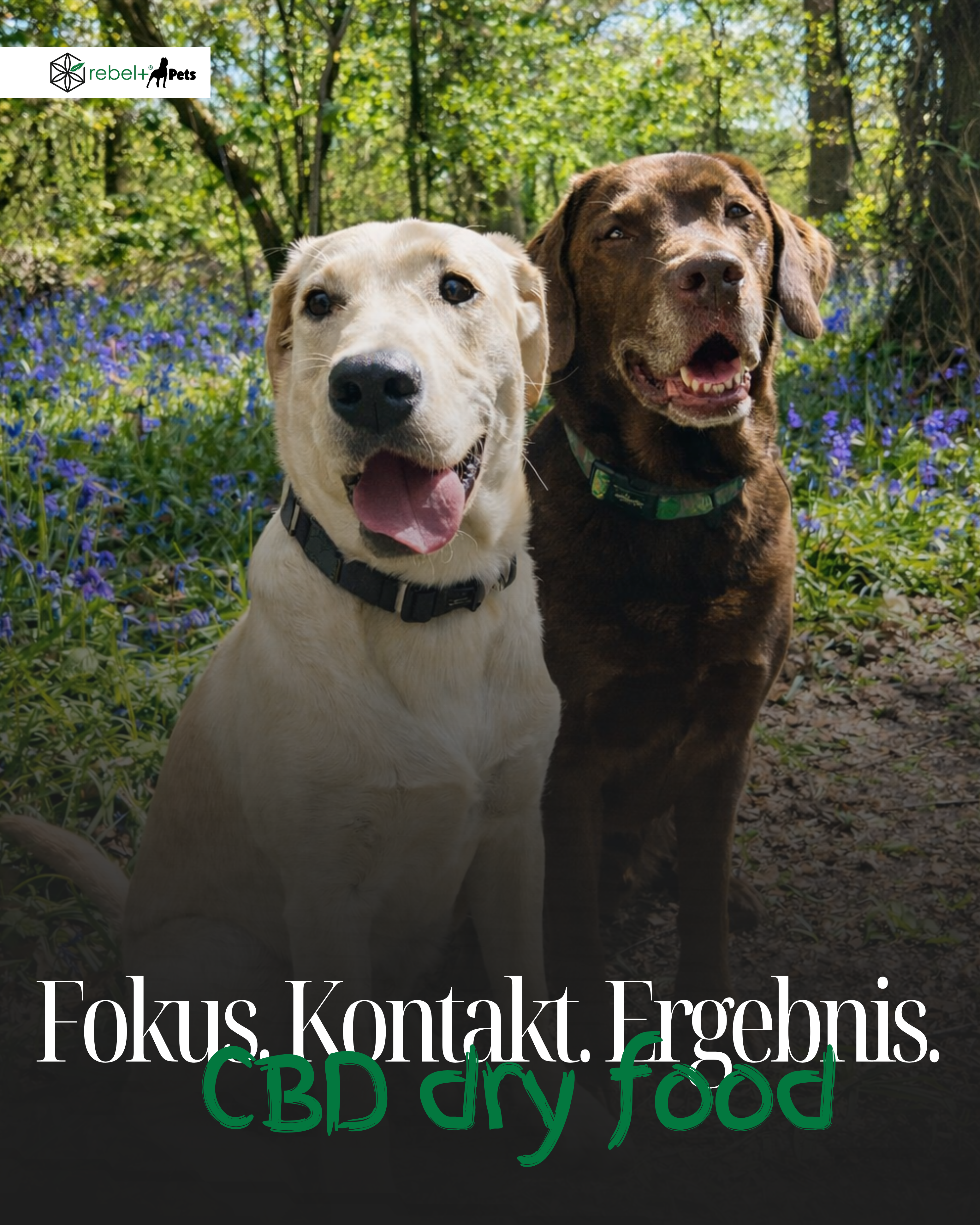 Treats Universal - Premium Hundeleckerlis mit CBD | 0,5kg.