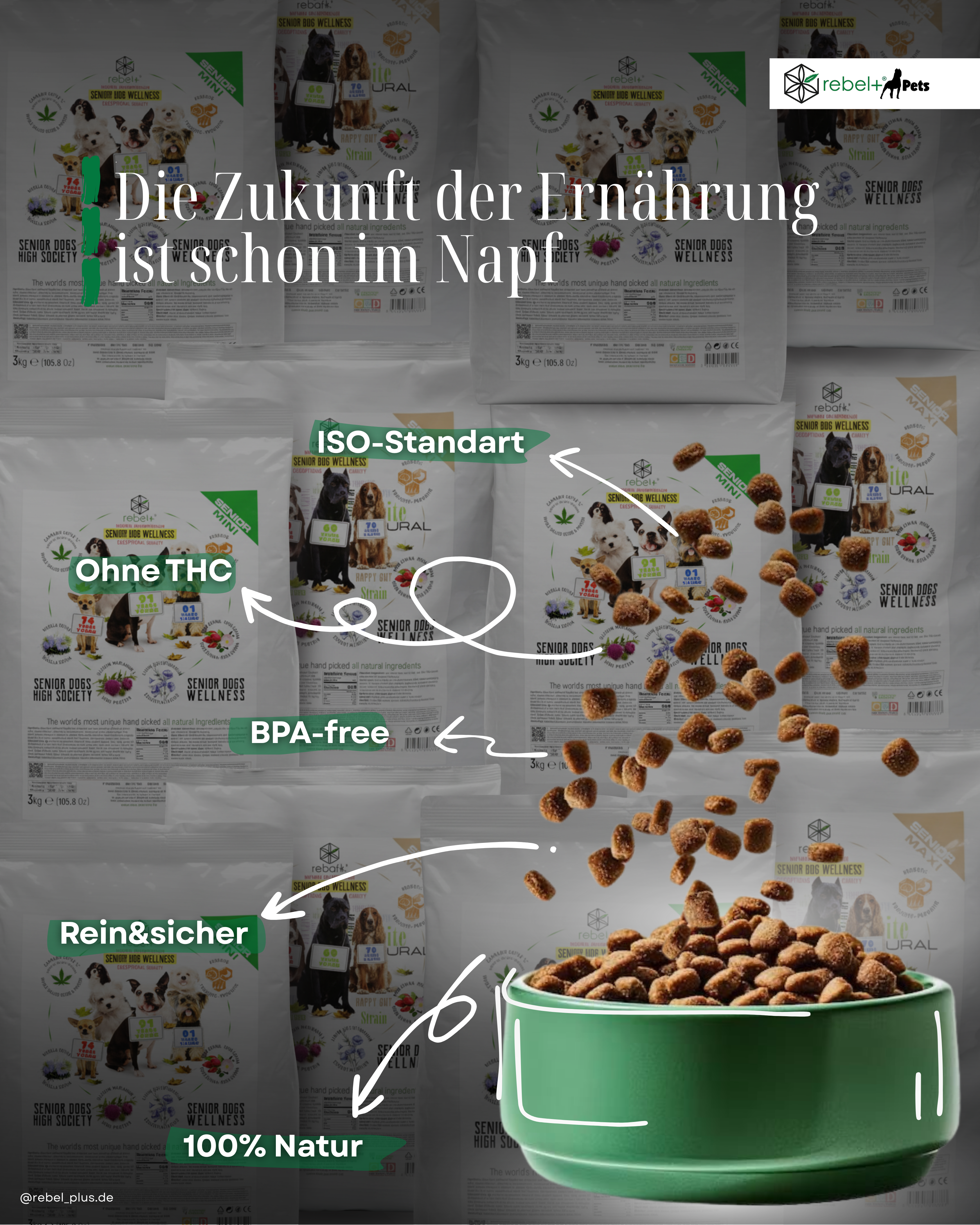 Senior Maxi - Hundetrockenfutter mit CBD | 3kg.