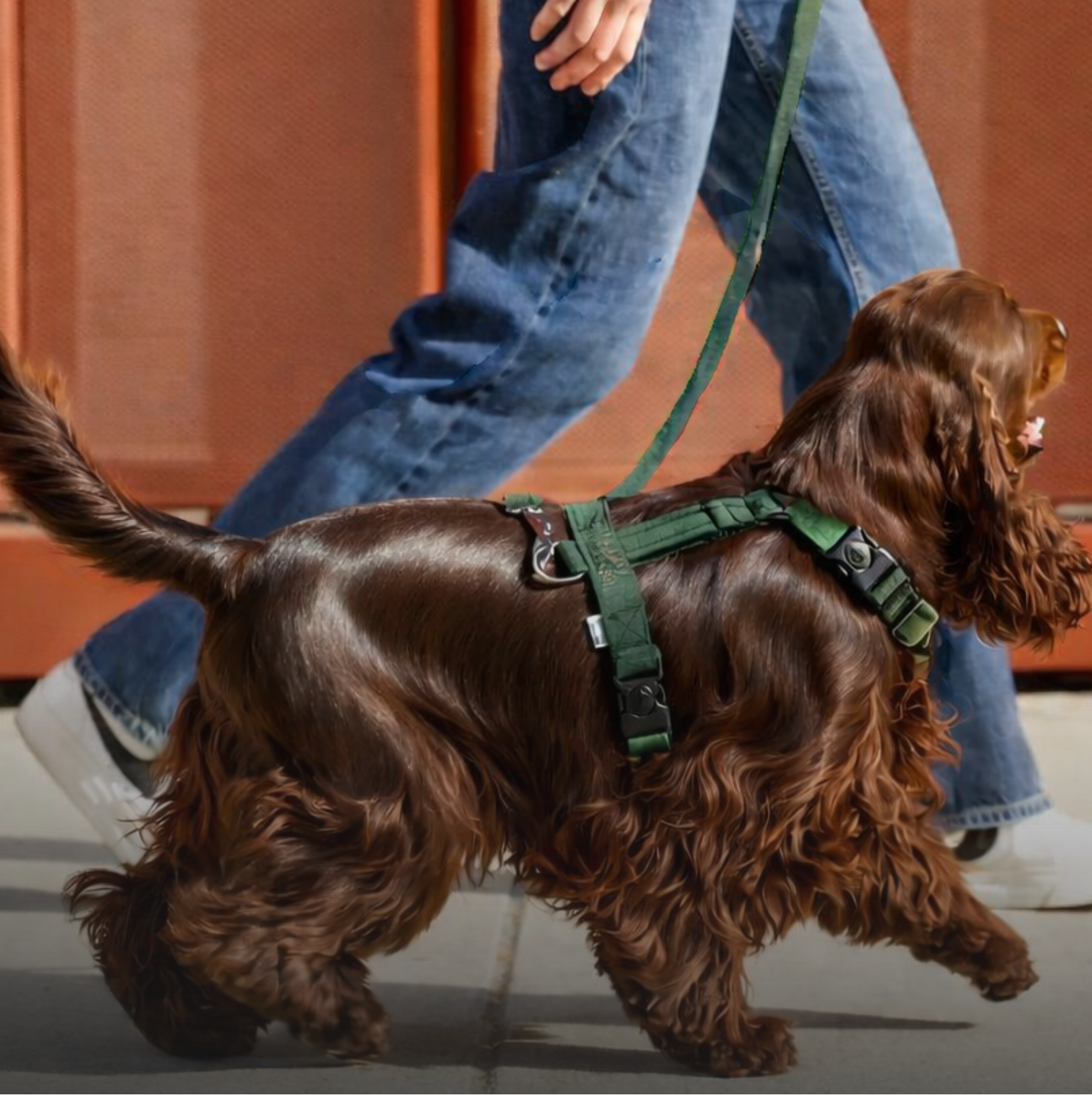 Praktisches Nassfutter für Hunde – ideal für unterwegs und Reisen