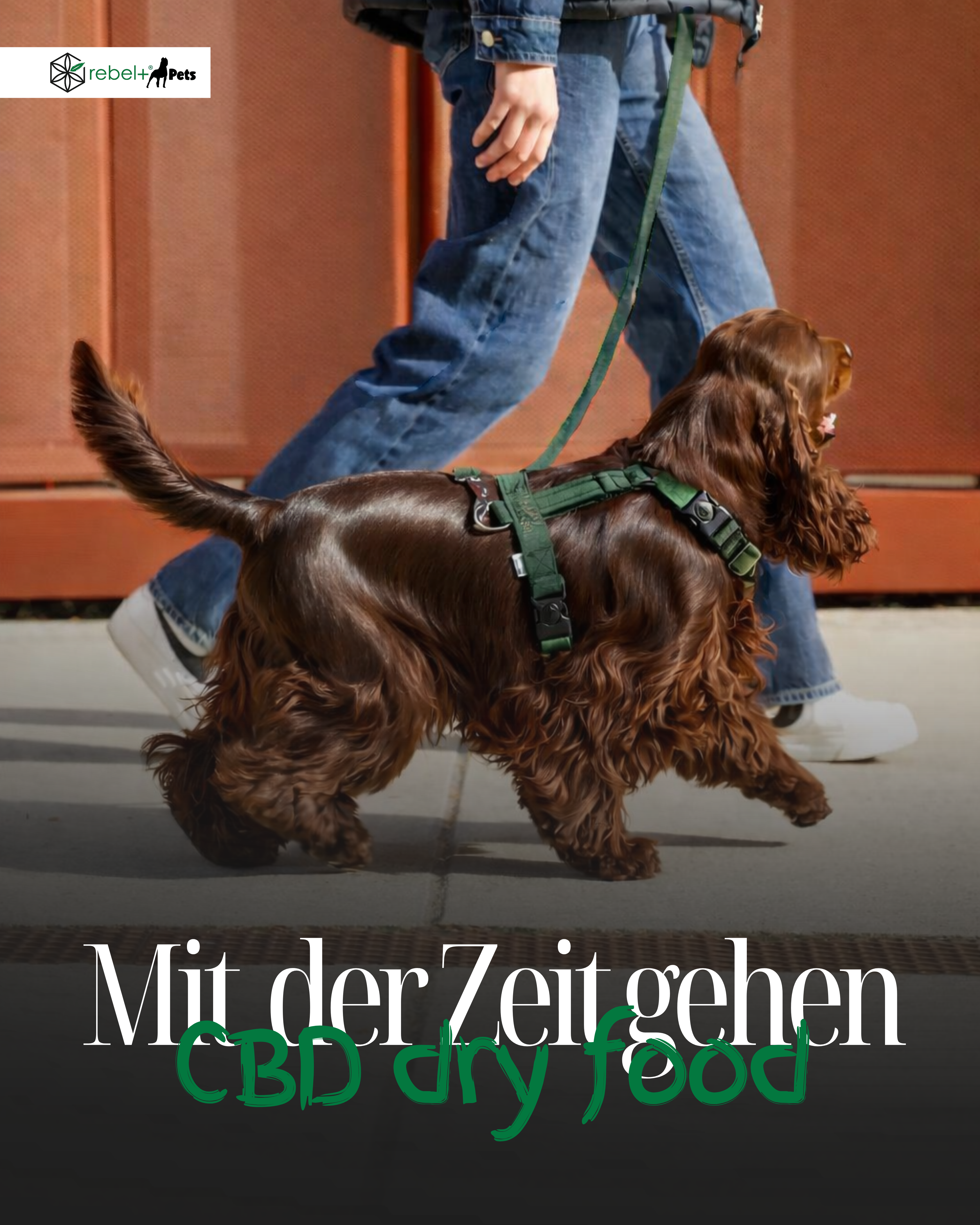 Energy Mini - Hundetrockenfutter mit CBD | 3kg.