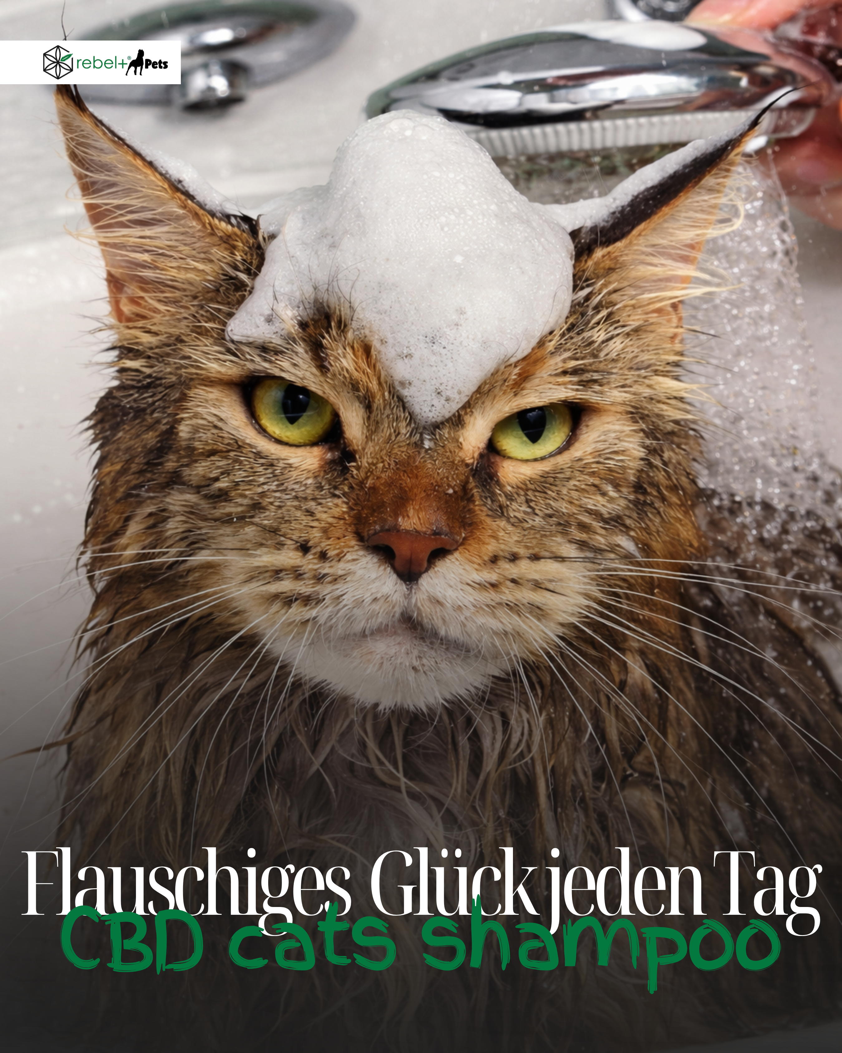 Premium Katzenshampoo mit CBD | 200ml.